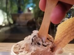 Tempo Gelato Yogya with Lots of Flavours