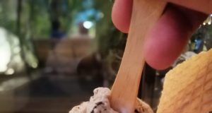 Tempo Gelato Yogya with Lots of Flavours