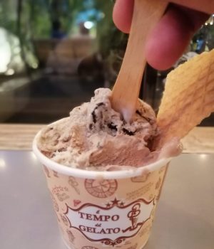Tempo Gelato Yogya with Lots of Flavours